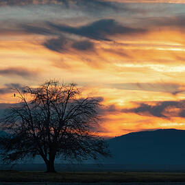 Country Sunset - Colusa County California by Mike Lee