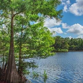 Cow Pen Lake At Riverbend Park by Rebecca Herranen