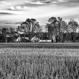 Cow Pointe Farm by Louis Dallara