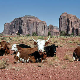 Cows in the Mittens by Louis Dallara