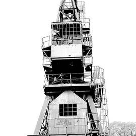 Cranes of Cockatoo Island Warameah 3 by Richard Reeve