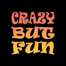 Crazy But Fun by Flippin Sweet Gear