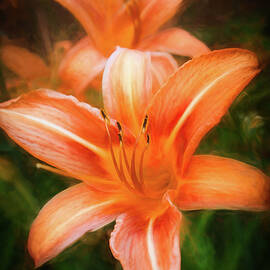 Creamsicle by Dodie Ross