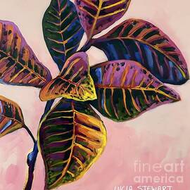 Croton Plant 2/3 by Lucia Stewart