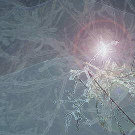 Crystalline by Gina Harrison