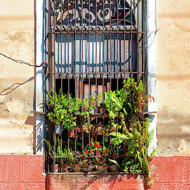 Cuba Fuerte Collection - Cuban Window by Philippe HUGONNARD