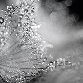 Cup by Ursula Abresch