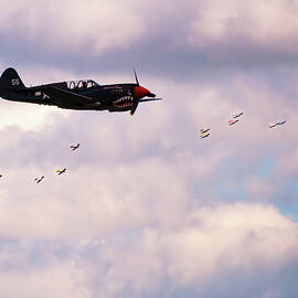 Curtiss TP-40 Warhawk - 003 by Flees Photos
