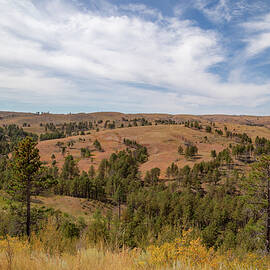 Custer State Park by Cindy Robinson