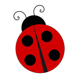 Cute Ladybug by Flippin Sweet Gear