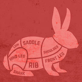 Cuts Of A Rabbit Cuts of Rabbit Red Version Chart Butcher Meat Restaurant and Fine ...