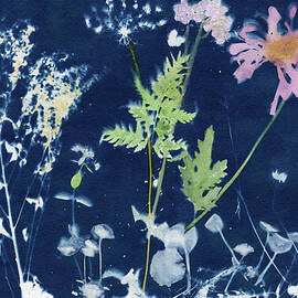 Cyanotype Whimsy of Flora by Elizabeth Reich