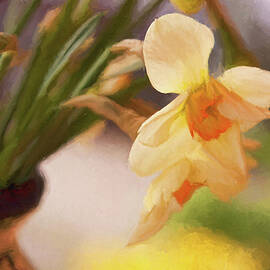 Daffodil flowers by Tatiana Travelways