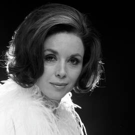 Dana Wynter Glamour Classic Fur Feather Coat Vintage 1965 by Silver Screen