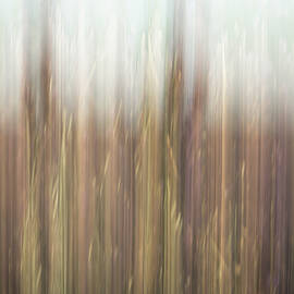 Dance of Nature 1 by Charnwood Photography Fine Art