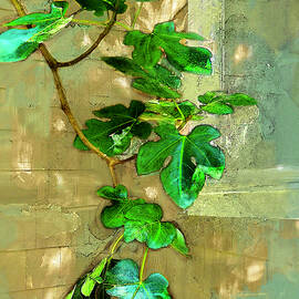 Dappled Corner by Gina Harrison
