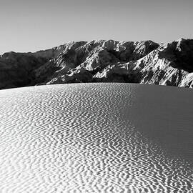 Dawn Illuminates the Mesquite Ripples by Joe Schofield