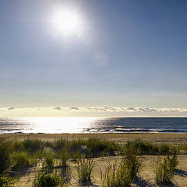 Dawn Over the Surf by Steven Nelson