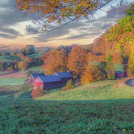Daybreak at Jenne Farm by Penny Polakoff