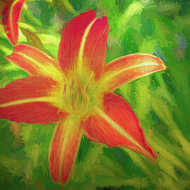 Daylily Painterly by Alison Frank
