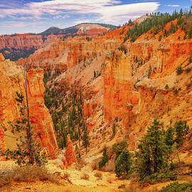 December 2022 Bryce Canyon Detail by Alain Zarinelli