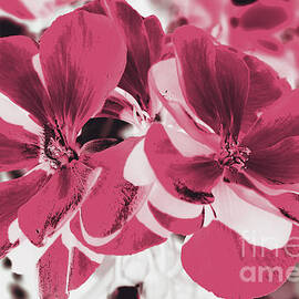 Decorative beauty by Jorgo Photography