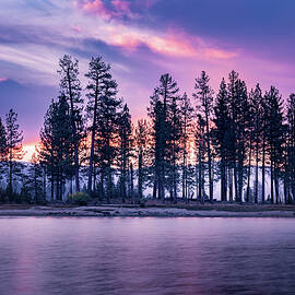 Dedication Dawn by Mike Lee