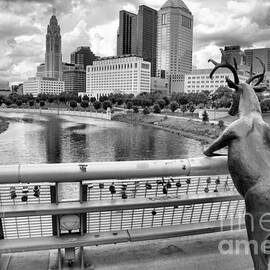 Deer On The Rich Street Bridge Black And White by Adam Jewell