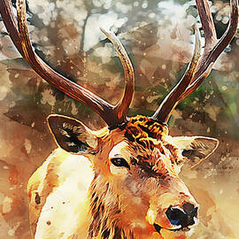 Deer Portrait - 01 by AM FineArtPrints