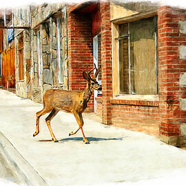 Deer running downtown Challis, Idaho by Tatiana Travelways