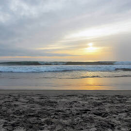 Del Mar Beach Camp Pendleton by Alison Frank