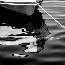 Delphin 2 Black and White by Laura Fasulo