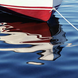 delphin 2 by Laura Fasulo