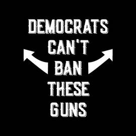 Democrats Cant Ban These Guns by Flippin Sweet Gear