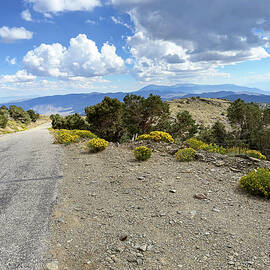 Descending White Mountain Road by Joe Schofield