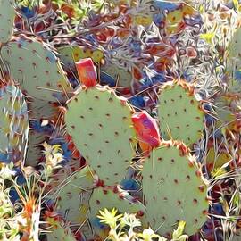 Desert Cactus by Rebecca Herranen