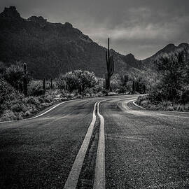 Desert Highway by Kevin Schwalbe