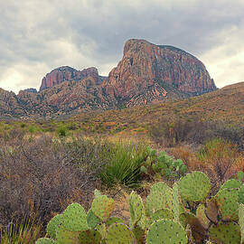 Desert Landscape with Rocky Mountains by Michael Collins