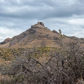 Desert Mountain Under Cloudy Sky by Michael Collins