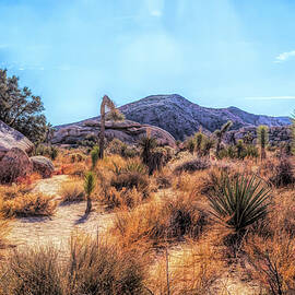 Desertscape OPC by Alison Frank