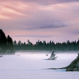 Desolate Dawn by Mike Lee