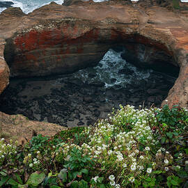 Devils Punchbowl Sea Cave Oregon by Dan Sproul