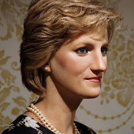 Diana, Princess of Wales by Antonios Valamontes