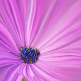 Digitally painted Daisy by Sue Leonard