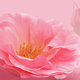 Digitally Painted Dog Rose by Sue Leonard