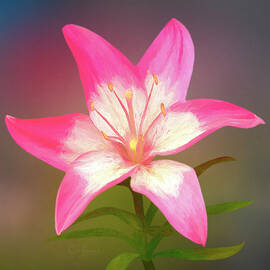 Digitally painted Lily by Sue Leonard
