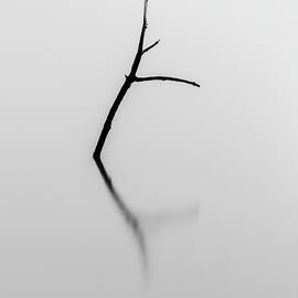 Dissolution by David Fountain