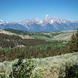 Distant Tetons by Diane Moller