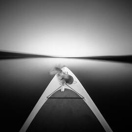 Dog on SUP by Will Gudgeon