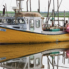 Dolores Ann the old fair lady by Tatiana Travelways